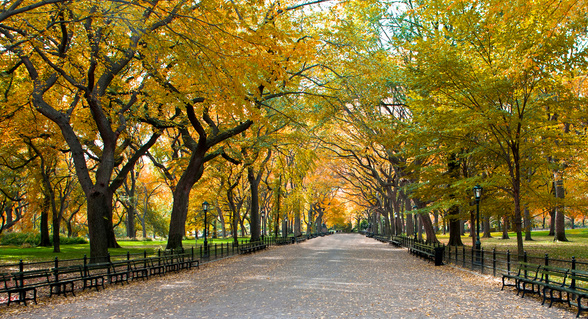 Central Park, New York.